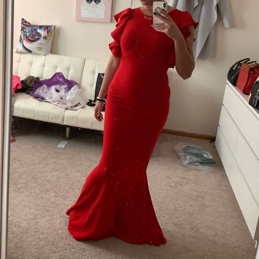 NWT Windsor formal dress